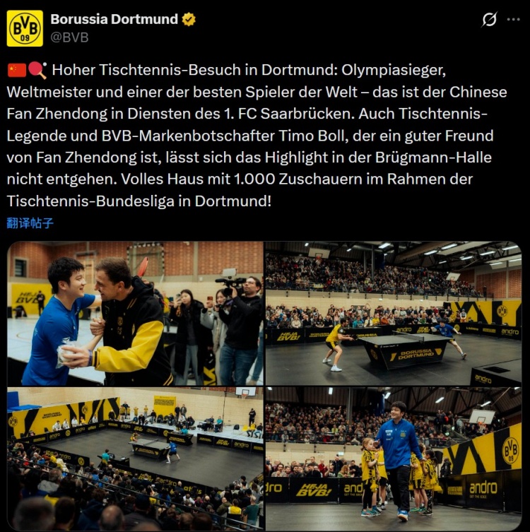 NG28-樊振东随队客战多特吸引上千球迷观战，多特死忠波尔也来到现场